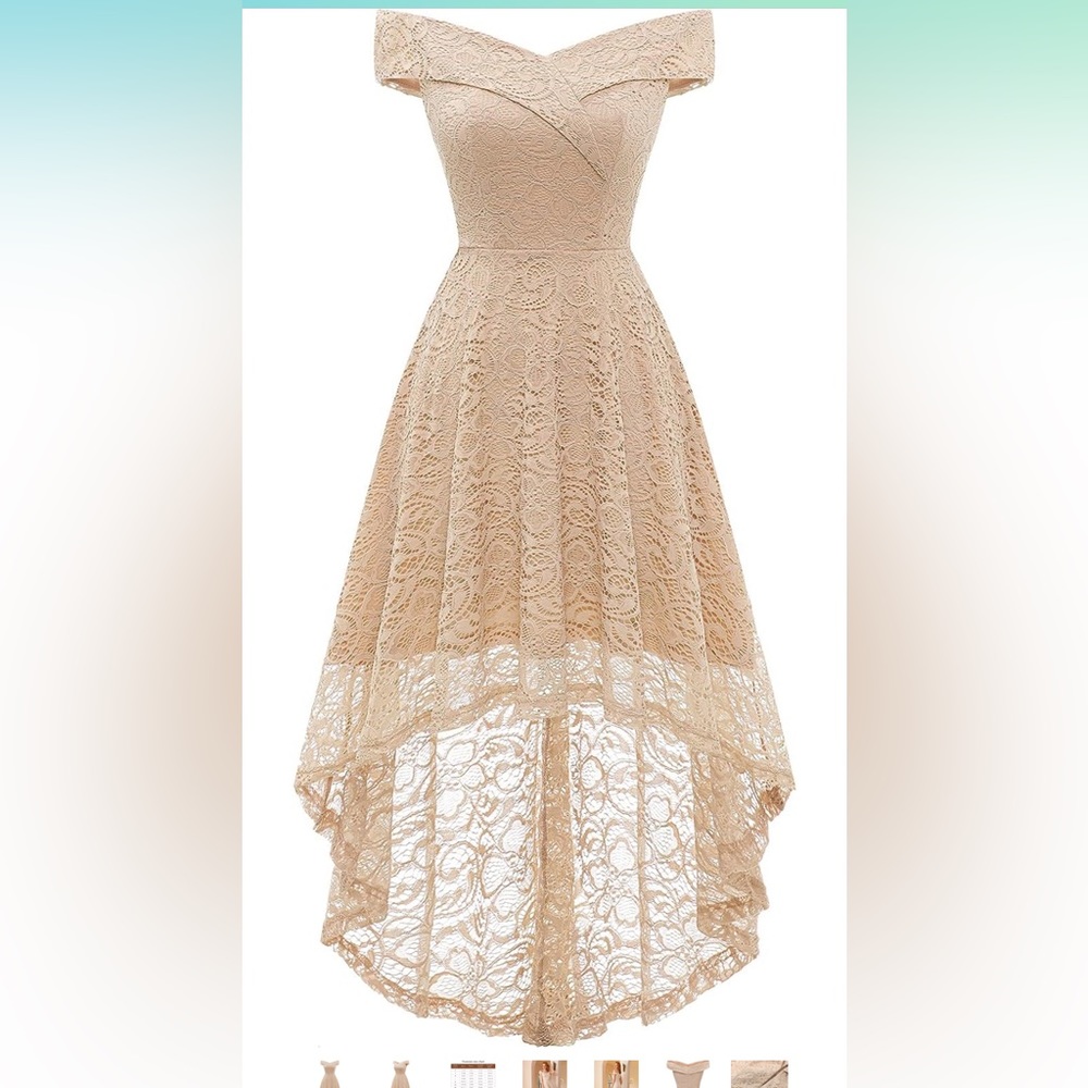 Vintage Lace Dress